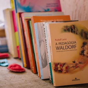 pedagogia2