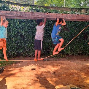 Crianças brincando pedagogia waldorf